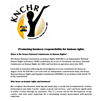 business and human rights