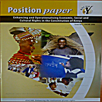 Position paper on Ecosoc