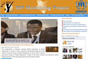 IDP Monitoring Project